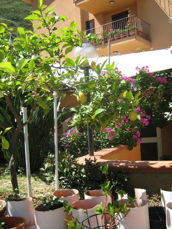 Terrazza Mimosa Διαμέρισμα Cefalù Εξωτερικό φωτογραφία