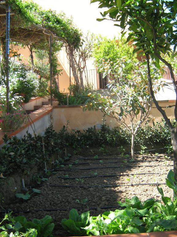 Terrazza Mimosa Διαμέρισμα Cefalù Εξωτερικό φωτογραφία